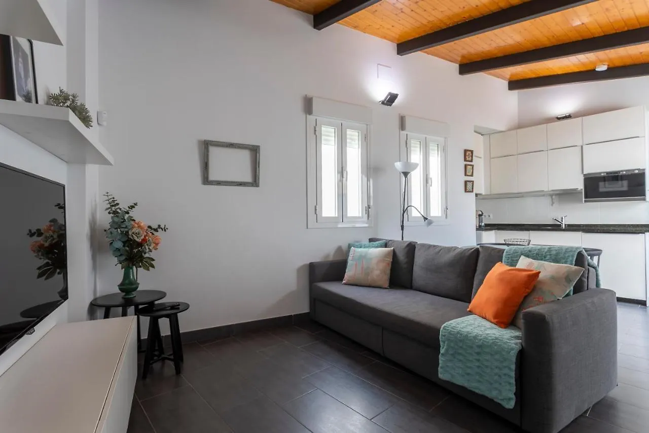 Terrace & Chill Urban Apartment Sevilla España